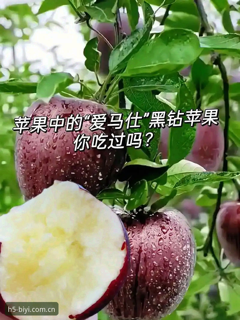 苹果用户必看：3个步骤搞定必一体育网页登录版官网苹果版，新版首页与APP下载全攻略